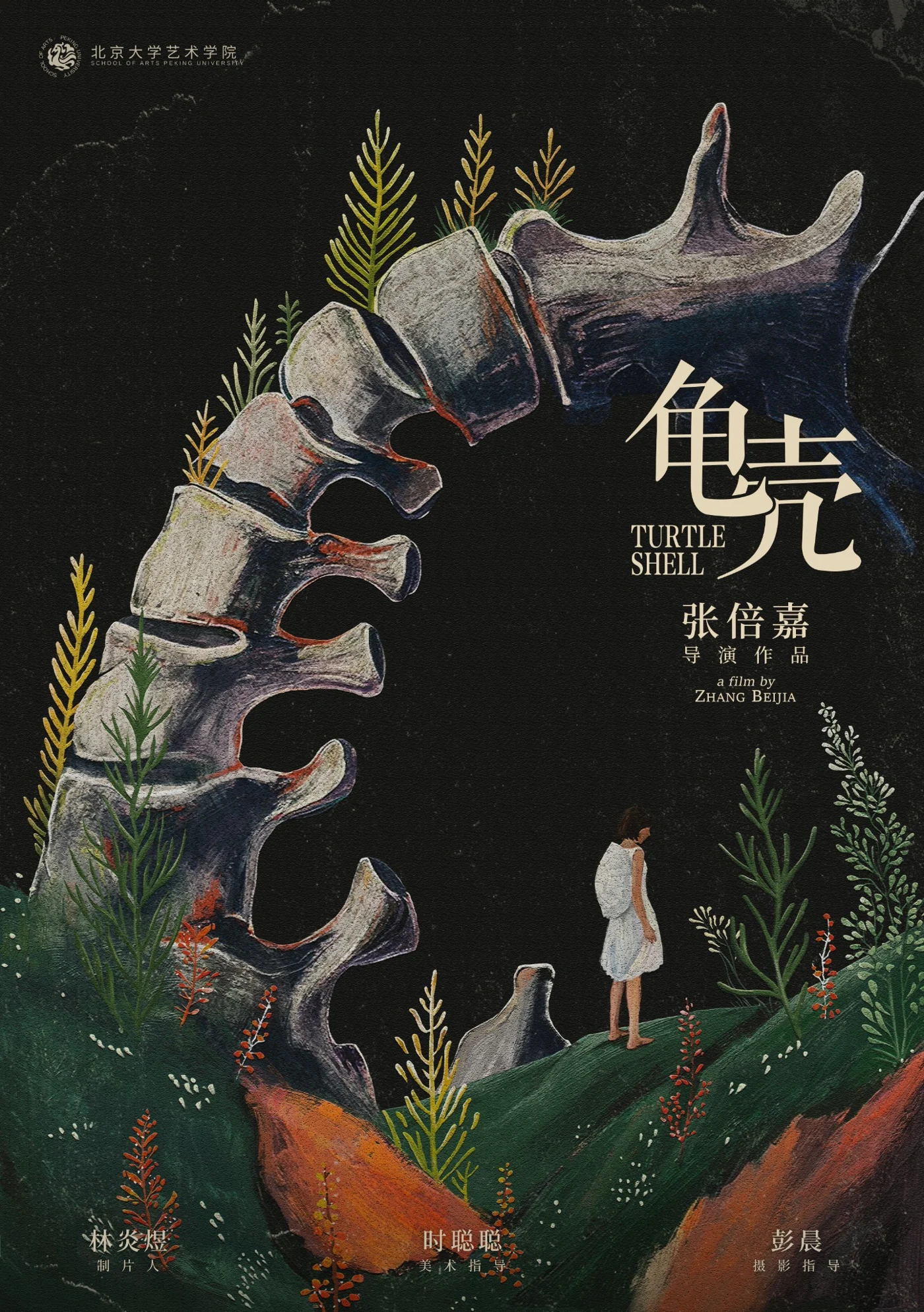 龟壳 / Turtle Shell 电影海报